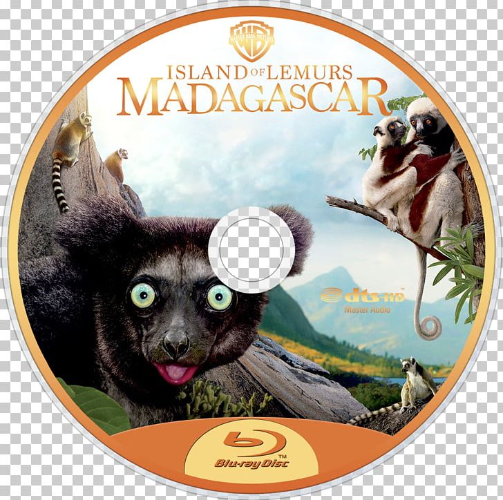 Lemurs Madagascar Documentary Film IMAX PNG, Clipart, Documentary Film, Dvd, Fauna, Film, Imax Free PNG Download