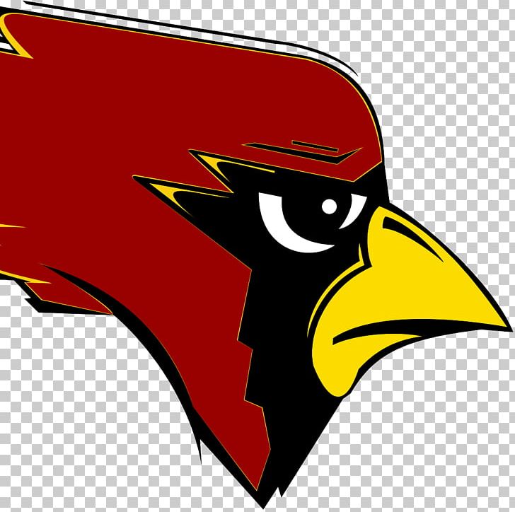 New Bremen High School St. Louis Cardinals Gymnasium PNG, Clipart, Art, Artwork, Beak, Bird, Bird Of Prey Free PNG Download