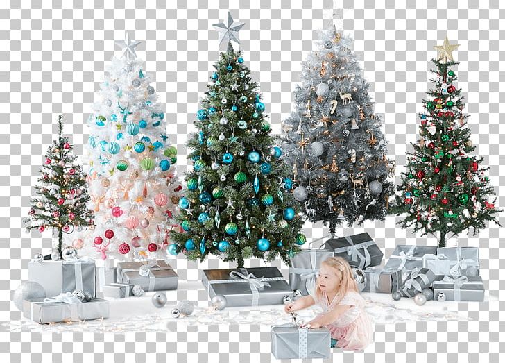 Christmas Tree Fir Christmas Decoration Spruce PNG, Clipart, Christmas, Christmas Decoration, Christmas Ornament, Christmas Tree, Conifer Free PNG Download