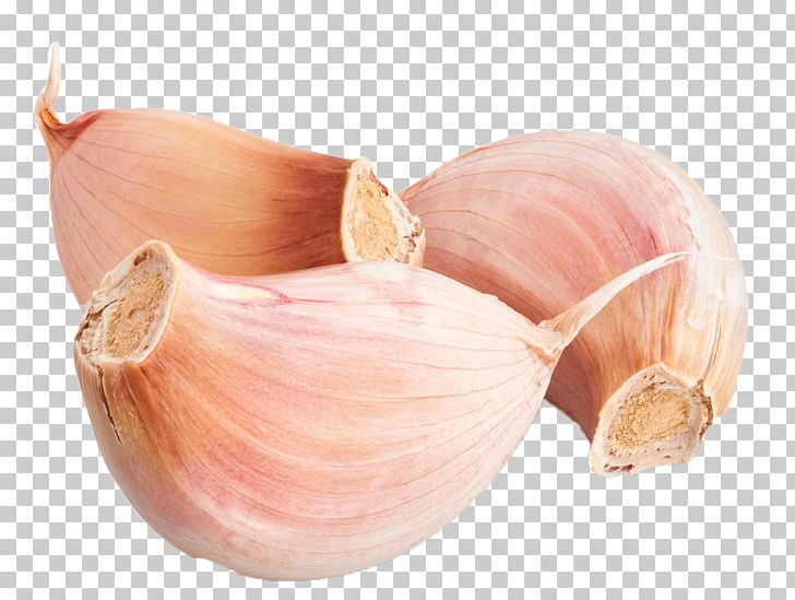 Elephant Garlic Yellow Onion Shallot Solo Garlic Stock Photography PNG, Clipart, Clove, Elephant Garlic, Food, Garlic, Immune Free PNG Download