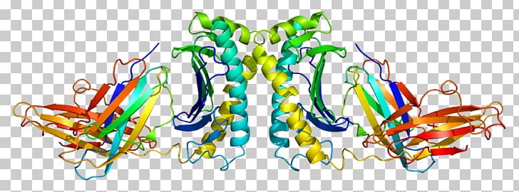 HFE Gene Wiki Hemochromatosis Protein PNG, Clipart, Art, Dna, Ferritin, Gene, Gene Therapy Free PNG Download