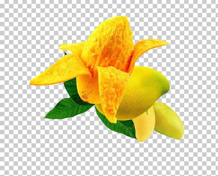 Juice Mango Fruit Food PNG, Clipart, Adobe Illustrator, Apple, Dried Mango, Embroidery Mango Clip Art, Encapsulated Postscript Free PNG Download