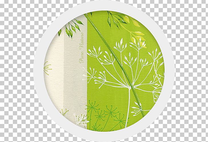 Leaf PNG, Clipart, Dishware, Green, Leaf, Plate, Tree Free PNG Download