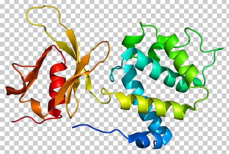TLN1 FERM Domain Paxillin Protein Domain PNG, Clipart, Actin, Area, Artwork, Cytoskeleton, Erm Protein Family Free PNG Download