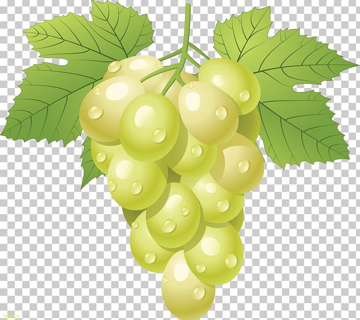 Kyoho Wine Grape PNG, Clipart, Berry, Clip Art, Common Grape Vine, Download, Food Free PNG Download