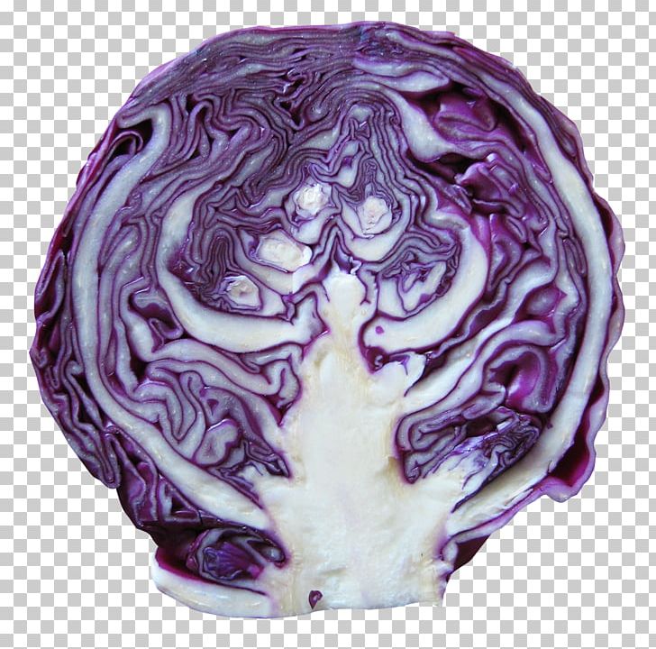 Red Cabbage Vegetable PNG, Clipart, Brassica Oleracea, Cabbage, Collard Greens, Food, Napa Cabbage Free PNG Download