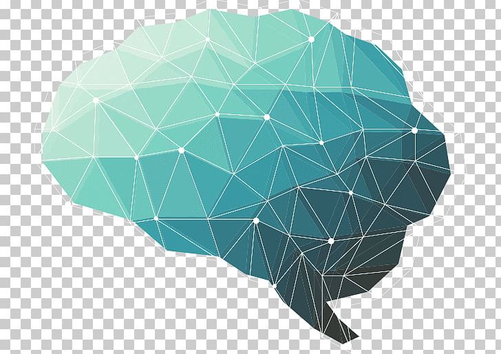 The Female Brain Human Brain Polygon Human Head PNG, Clipart, Aqua, Brain, Business Icon, Female Brain, Green Free PNG Download