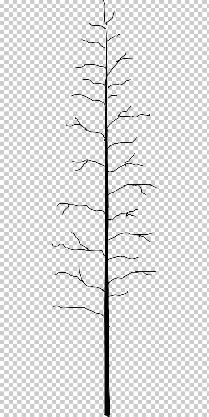 Twig Line Plant Stem Leaf Angle PNG, Clipart, Agac, Angle, Art, Black And White, Branch Free PNG Download