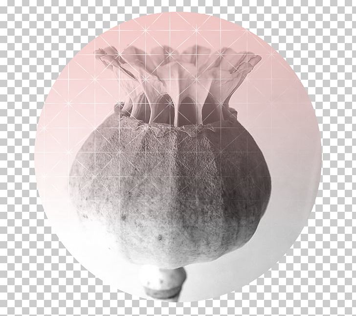 White Sphere PNG, Clipart, Black And White, New Moon, Others, Sphere, Still Life Photography Free PNG Download