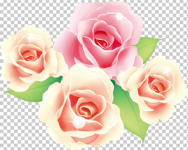 Flowers Roses Valentines Day PNG, Clipart, Camellia, Cut Flowers, Floribunda, Flower, Flowers Free PNG Download