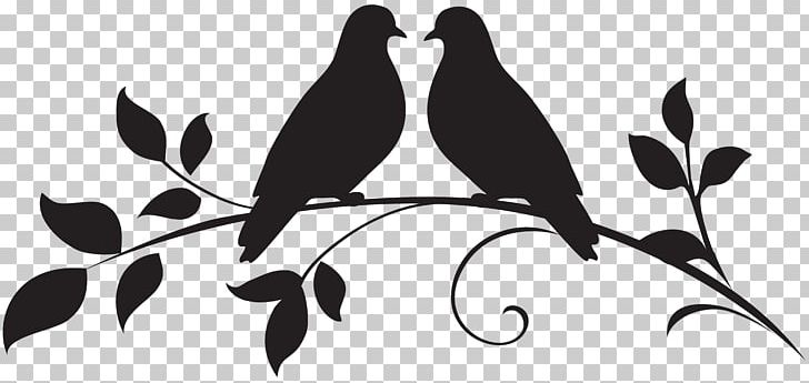 flower clipart images black and white birds