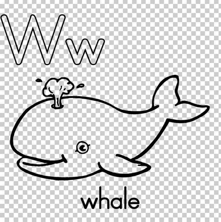 Coloring Book Killer Whale Whale Shark PNG, Clipart, Animals, Art, Beak, Bird, Black Free PNG Download