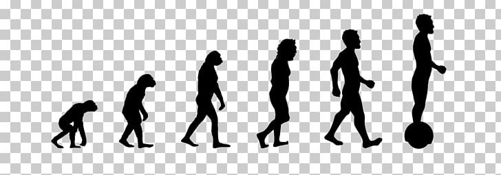 Human Evolution Neanderthal Wall Decal PNG, Clipart, Ape, Arm, Black, Black And White, Decal Free PNG Download
