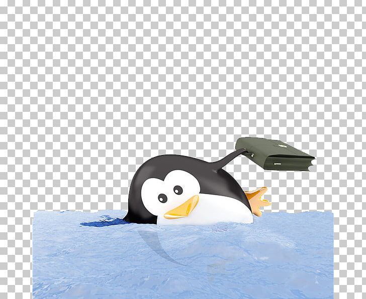 King Penguin Bird Emperor Penguin PNG, Clipart, Animal, Aptenodytes, Bird, Blue, Boys Swimming Free PNG Download