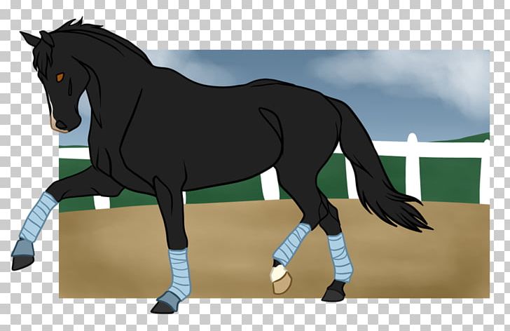 Mane Mustang Stallion Pony Mare PNG, Clipart, Animated Cartoon, Bridle, English Riding, Equestrian, Halter Free PNG Download