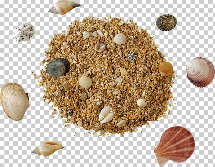 Sand PNG, Clipart, Digital Image, Download, Garam Masala, Image File Formats, Mixture Free PNG Download