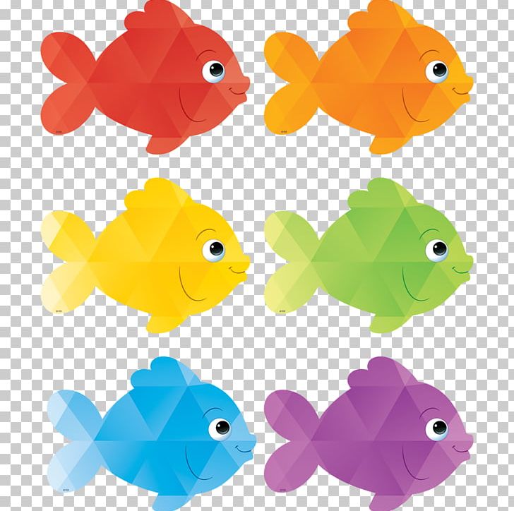 Tropical Fish Color PNG, Clipart, Animal Figure, Animals, Aquarium, Blue, Bulletin Board Free PNG Download