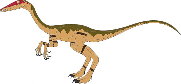 Tyrannosaurus Coelophysis Velociraptor Spinosaurus Cryptoclidus PNG, Clipart, Animal Figure, Art, Beak, Camarasaurus, Coelophysis Free PNG Download