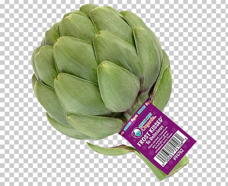 Vegetable Food Artichoke PNG, Clipart, Artichoke, Artichokes, Food, Food Drinks, Vegetable Free PNG Download