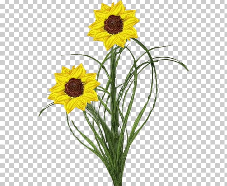 Yellow Floral Design Cut Flowers PNG, Clipart, Cut Flowers, Daisy Family, Floral Design, Floristry, Flower Free PNG Download