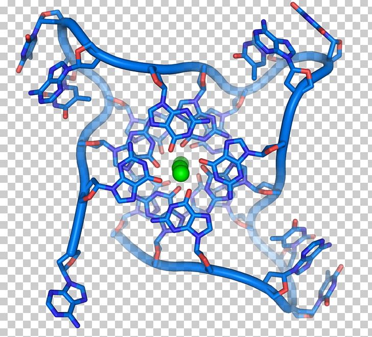 G-quadruplex DNA Telomere Structure Nucleic Acid Double Helix PNG, Clipart, Area, Art, Base, Base Pair, Cell Free PNG Download