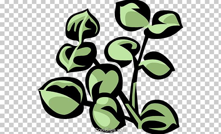 Plant Stem Leaf Flower PNG, Clipart, Artwork, Black And White, Branch, Eucalyptus, Flora Free PNG Download