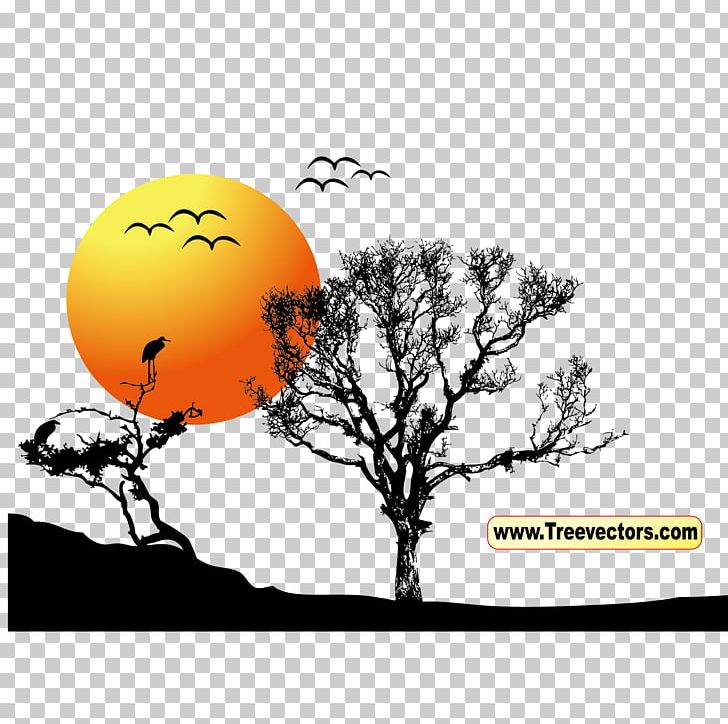 Tree Sunset PNG, Clipart, Adobe Illustrator, Black And White, Branch, Chris, Computer Wallpaper Free PNG Download