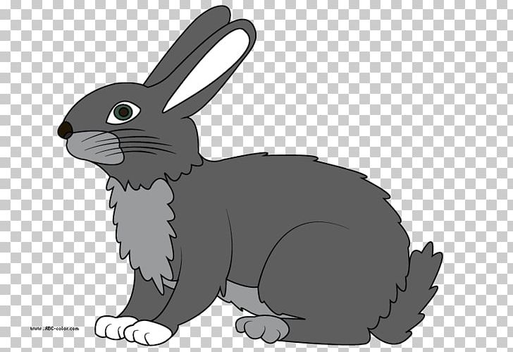 Drawing The Tortoise And The Hare Rabbit PNG, Clipart, Alaskan Hare, Animals, Carnivoran, Desktop Wallpaper, Fauna Free PNG Download