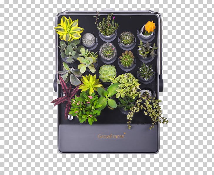 Floral Design Cut Flowers Herb PNG, Clipart, Cut Flowers, Flora, Floral Design, Floristry, Flower Free PNG Download