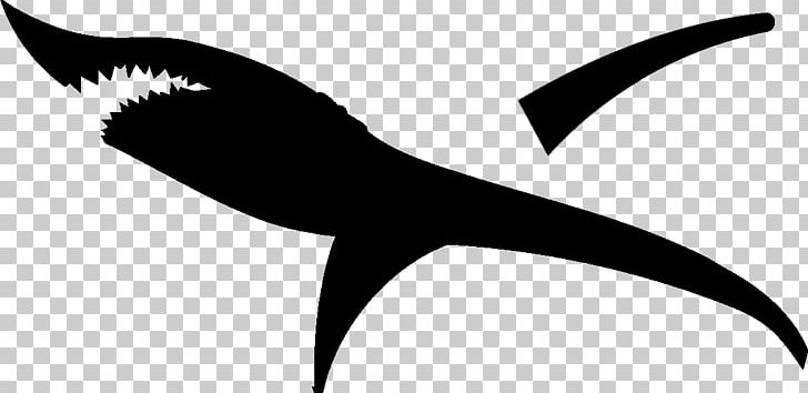 Cricut Great White Shark Silhouette PNG, Clipart, Animals, Artwork, Autocad Dxf, Beak, Black And White Free PNG Download