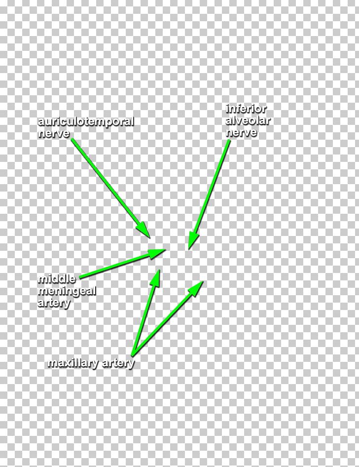 Green Line Product Design Angle Diagram PNG, Clipart, Angle, Area, Art, Diagram, Green Free PNG Download
