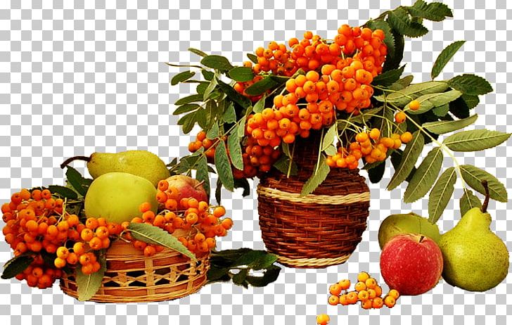 Indian Summer Daytime Autumn Spring PNG, Clipart, Birthday, Citrus, Cut Flowers, Dawn, Daytime Free PNG Download
