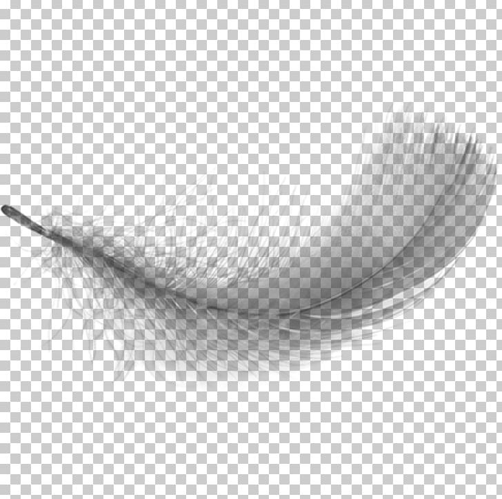 White Feather Desktop PNG, Clipart, Animals, Black And White, Clip Art, Desktop Wallpaper, Drawing Free PNG Download