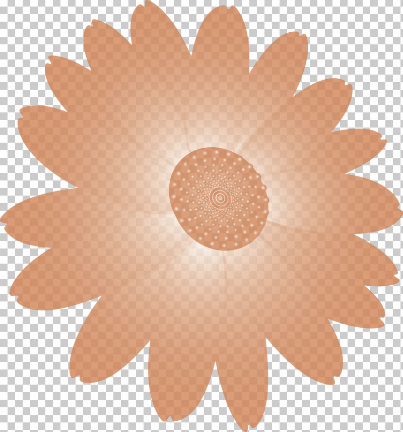 Marguerite Flower Spring Flower PNG, Clipart, Camomile, Chamomile, Circle, Daisy, Daisy Family Free PNG Download