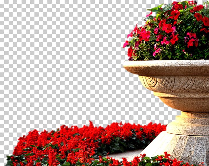 Garden Roses Red PNG, Clipart, Annual Plant, Beds, Environmental, Environmental Protection, Flower Free PNG Download