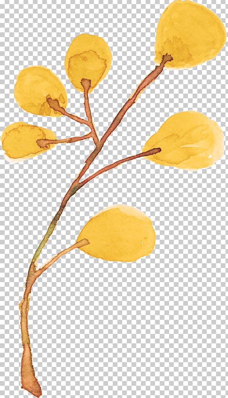 Painting Plant Drawing PNG, Clipart, Art, Botany, Branch, Color, Color Painting Free PNG Download