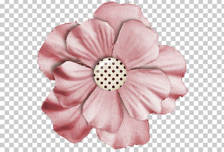 Cut Flowers Rose Family Pink M Petal PNG, Clipart, Cut Flowers, Flower, Flowering Plant, Peach, Peaches And Cream Free PNG Download