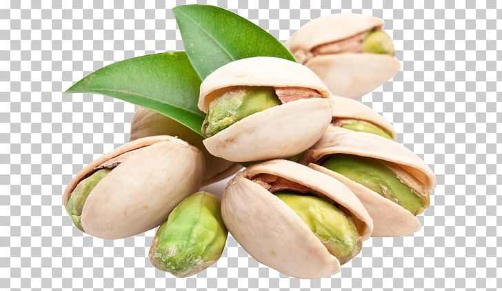 Pistachio Hazelnut Cashew Pecan PNG, Clipart, Almond, Brazil Nut, Commodity, Dried Fruit, Food Free PNG Download