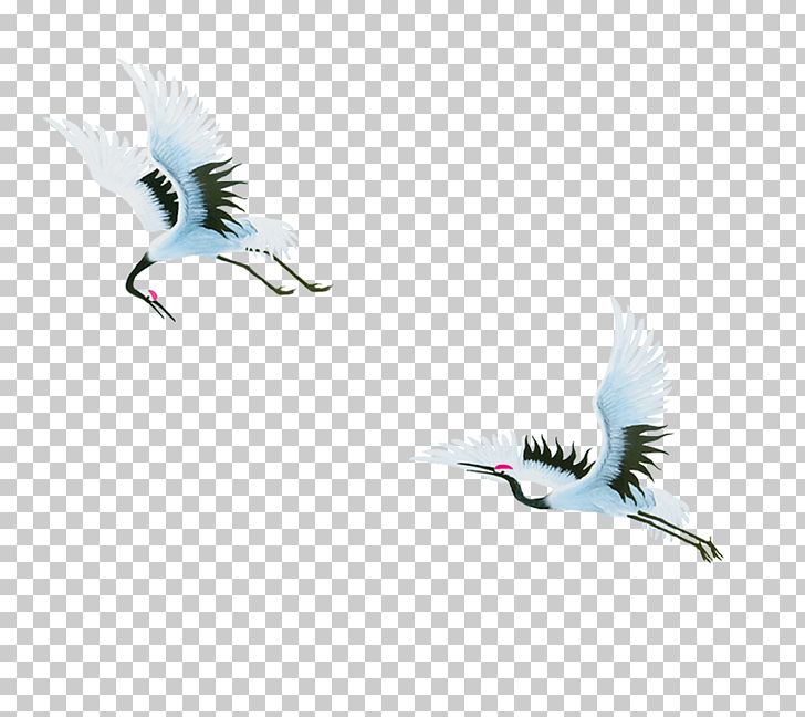 Red-crowned Crane Bird Siberian Crane PNG, Clipart, Beak, Bird, Computer Wallpaper, Crane, Crane Bird Free PNG Download