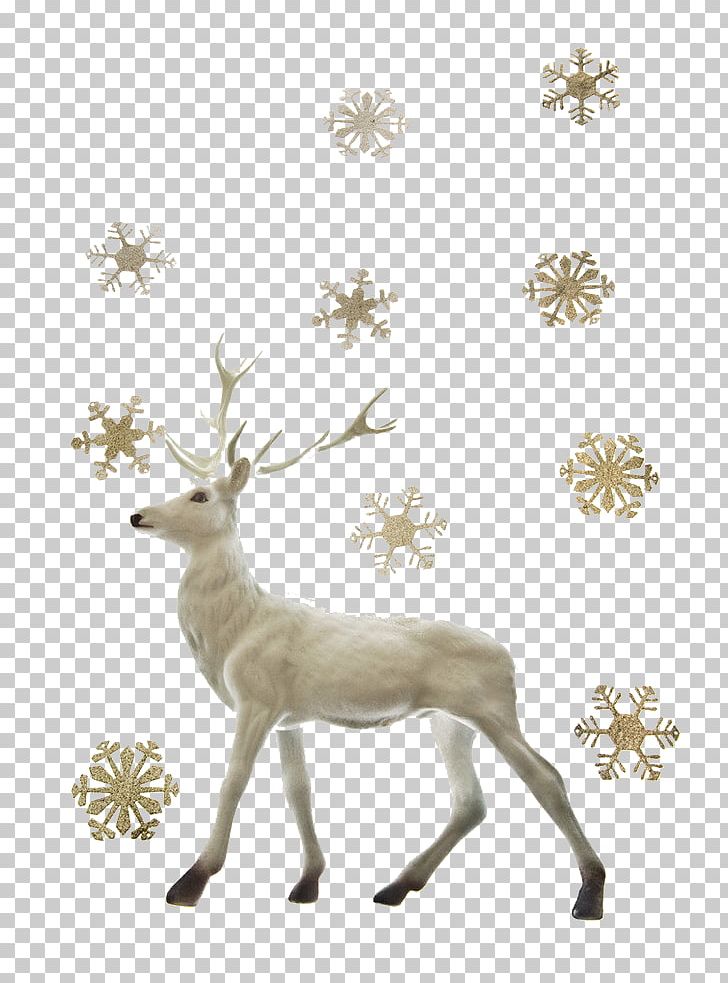 Reindeer Santa Claus Christmas PNG, Clipart, Antler, Background Effects, Branch, Burst Effect, Christmas Tree Free PNG Download