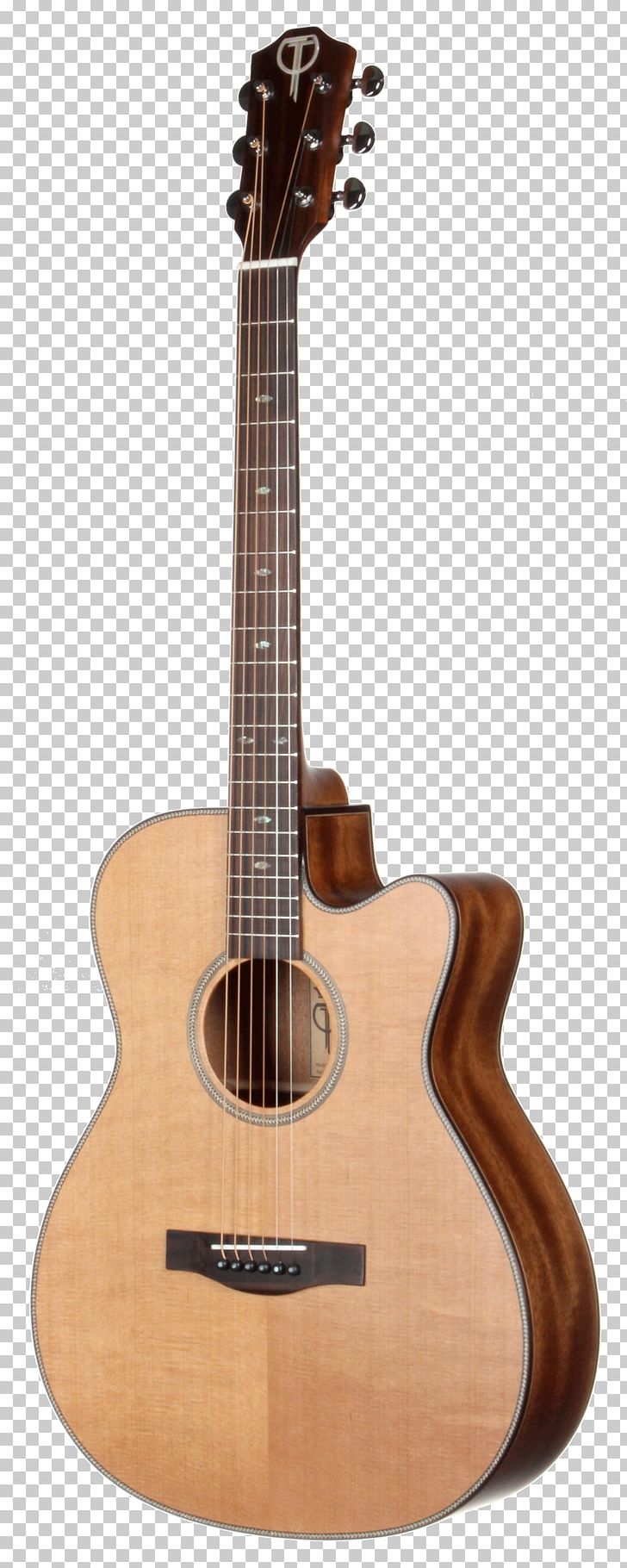 Acoustic Guitar Dreadnought Musical Instruments String Instruments PNG, Clipart, Cuatro, Cutaway, Epiphone, Guitar Accessory, Music Free PNG Download