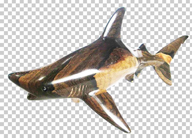 Great White Shark Blacktip Reef Shark Blacktip Shark Requiem Sharks PNG, Clipart, Animal Source Foods, Blacktip Reef Shark, Blacktip Shark, Caribbean Reef Shark, Cartilaginous Fishes Free PNG Download