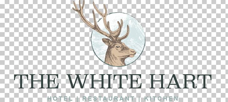 Reindeer Elk Logo Hotel Restaurant PNG, Clipart, Animal Figure, Antler, Brand, Brasserie, Cartoon Free PNG Download