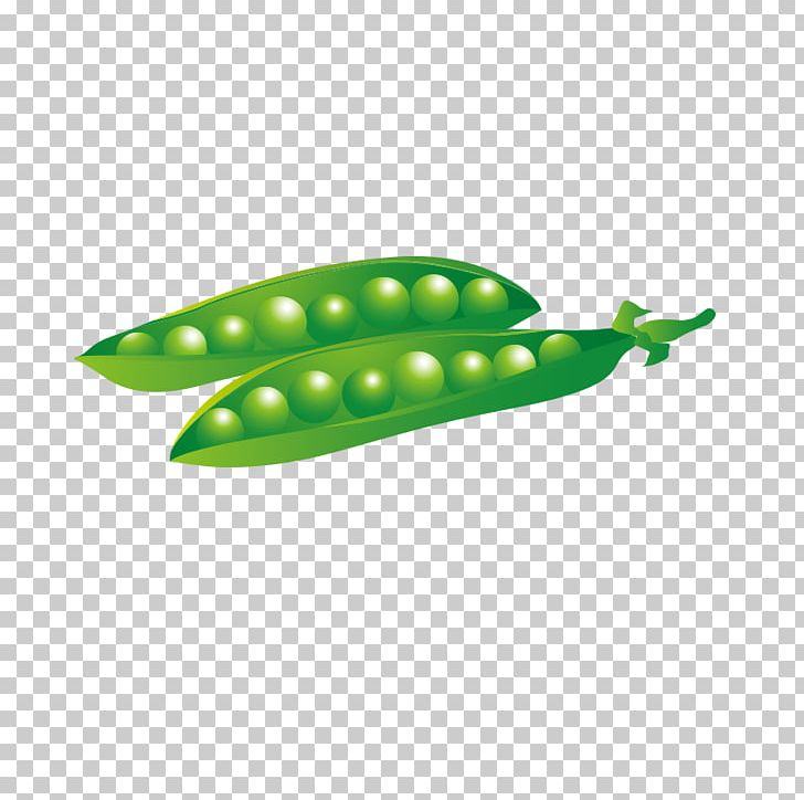 The Princess And The Pea Vegetable Sweet Pea PNG, Clipart, Bean, Broad Bean, Cartoon, Food, Fruit Free PNG Download
