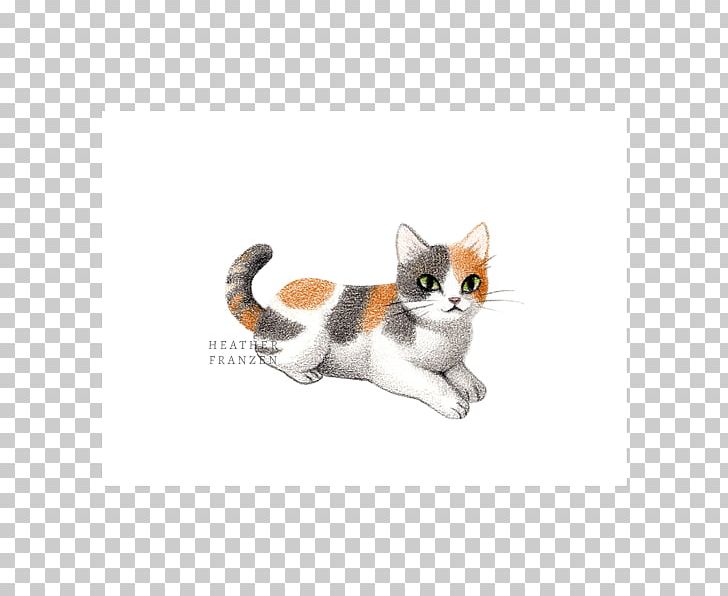 Whiskers American Wirehair Kitten Domestic Short-haired Cat Paw PNG, Clipart, American Wirehair, Animals, Calico Cat, Carnivoran, Cat Free PNG Download