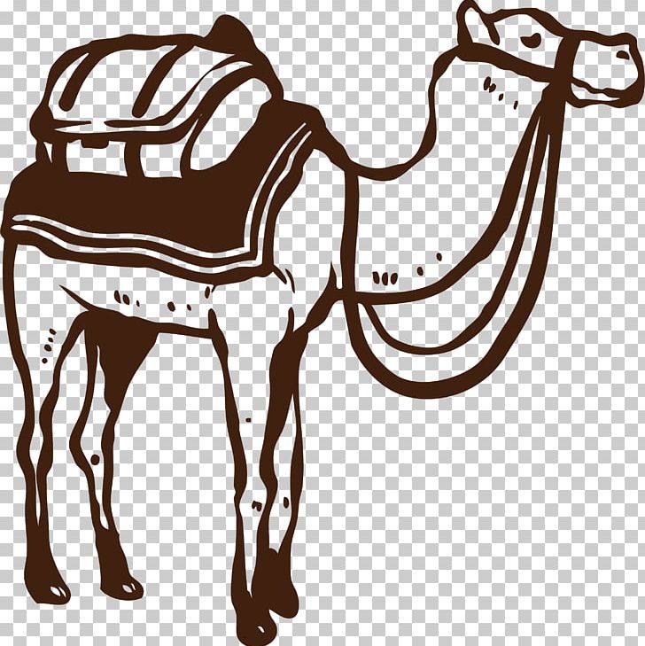 Camel Desert PNG, Clipart, Animals, Arizona Desert, Black And White, Camel Vector, Cartoon Camel Free PNG Download