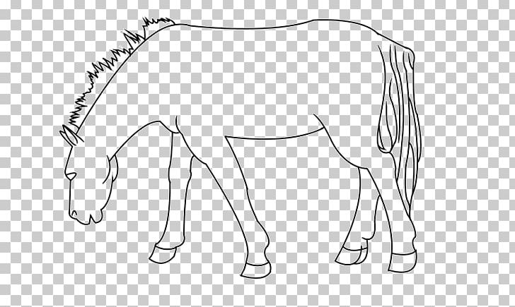 Mule Foal Bridle Halter Line Art PNG, Clipart, Area, Arm, Artwork, Black And White, Cartoon Free PNG Download