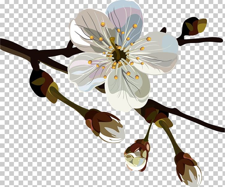 Chimonanthus Praecox Flower Oil Painting Plum Blossom PNG, Clipart, Art, Blossom, Branch, Cherry Blossom, Chimonanthus Praecox Free PNG Download