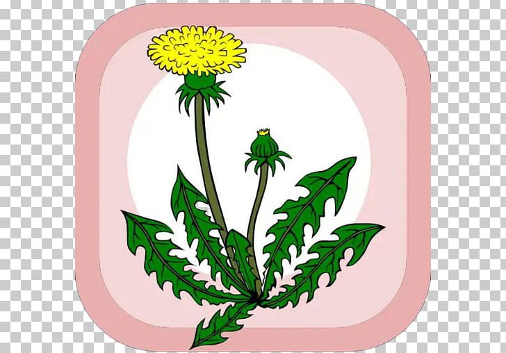 Dandelion Computer Icons PNG, Clipart, Artwork, Chrysanths, Computer Icons, Daisy Family, Dandelion Free PNG Download