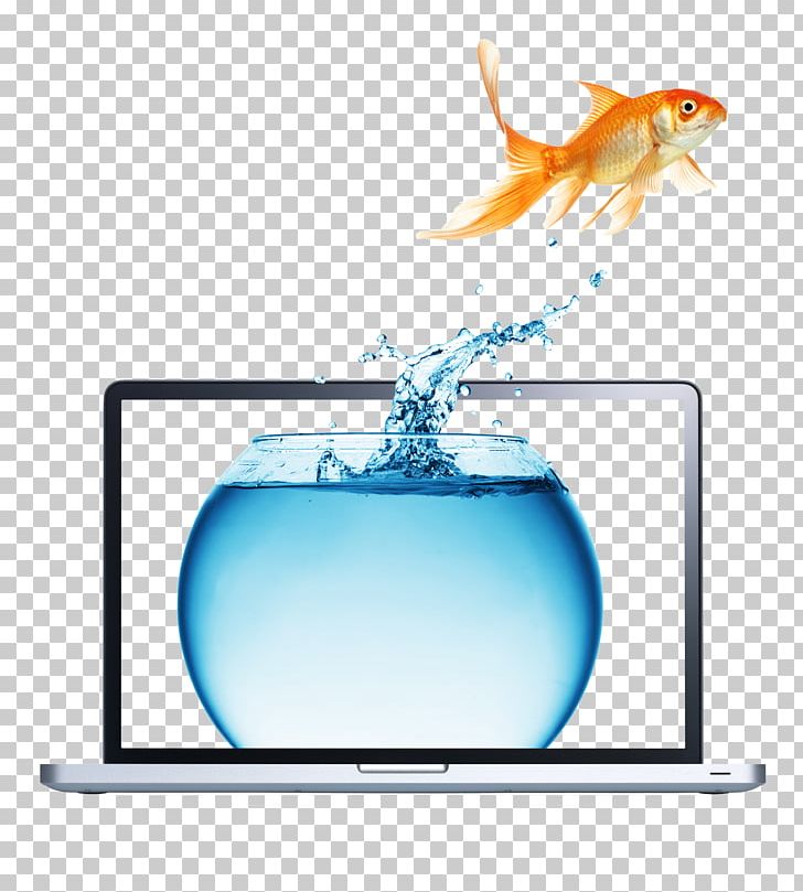 Carassius Auratus Stock Photography PNG, Clipart, Advertising, Apple Laptop, Apple Laptops, Aquarium, Blue Free PNG Download